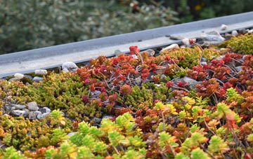the cost of Lower Halstock Leigh green roof installation