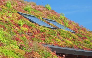 Lower Halstock Leigh living roof systems