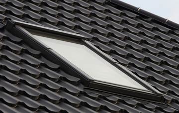 benefits of Lower Halstock Leigh roof windows