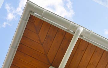 Lower Halstock Leigh soffit types