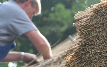 professional Lower Halstock Leigh thatchers