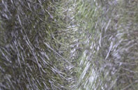 Lower Halstock Leigh fibreglass roof work