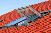 Lower Halstock Leigh roof window